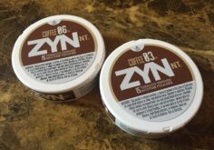 All About ZYN Nicotine Pouches